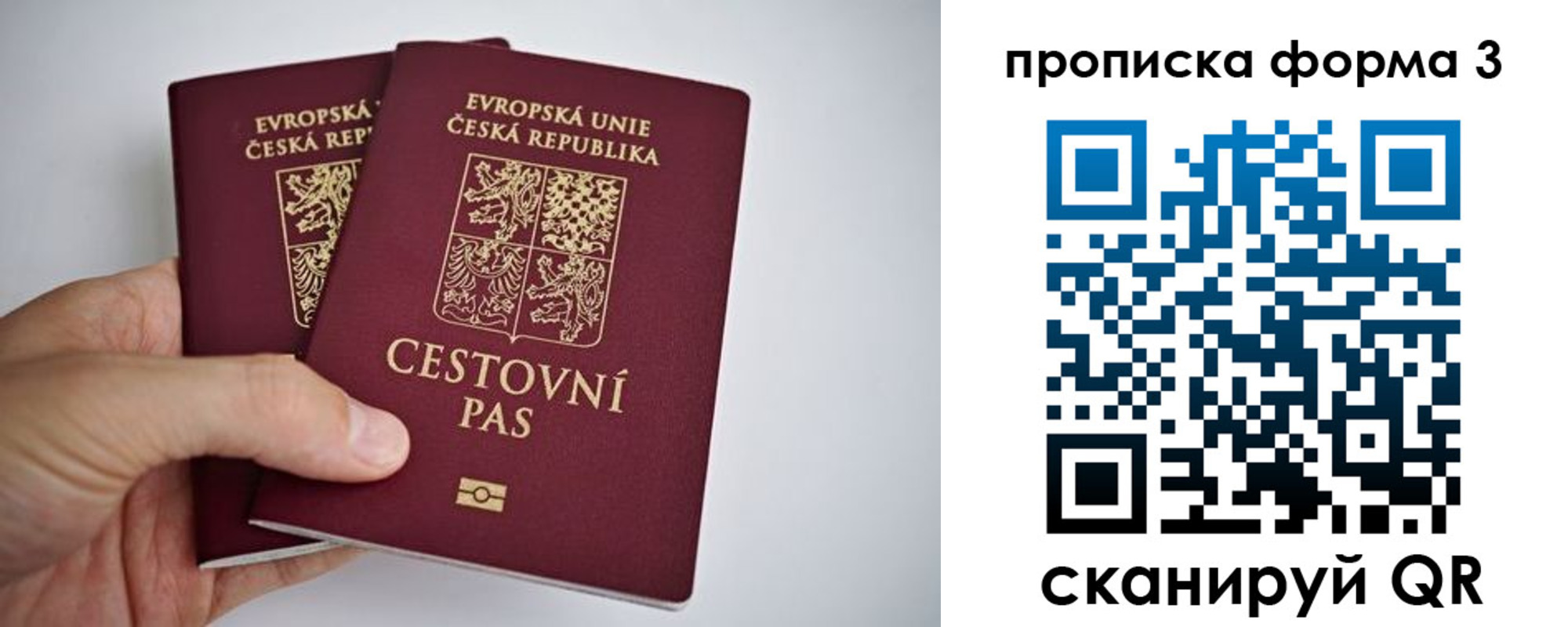 регистрация для школы в Бронницах